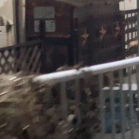 驚いたのだ。の画像