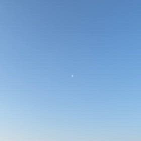 有明の月の画像