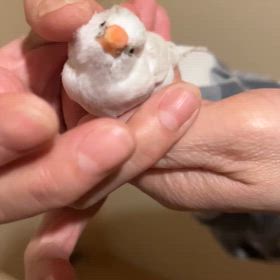 今日から2月の画像