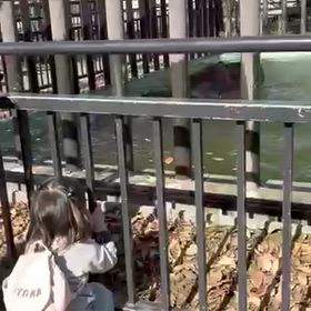 京都市動物園その ②の画像