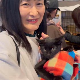 ざま猫・譲渡会の画像