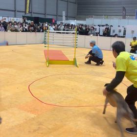 ペット博の画像