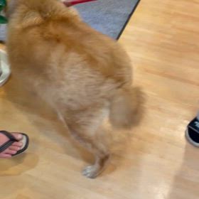 いやいやの画像