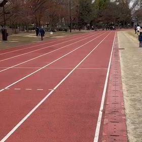 競技場練習（100m）③の画像