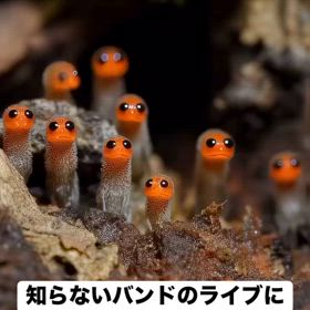 確かにの動画を見つけた(＠_＠;)の画像