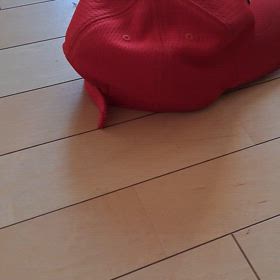 ヤドカリ(笑)？　2024/10/01の画像