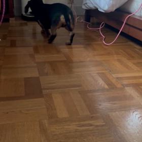 2024年4月15日(月)の画像