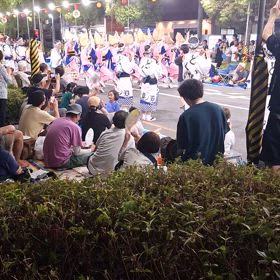 阿波おどりの画像