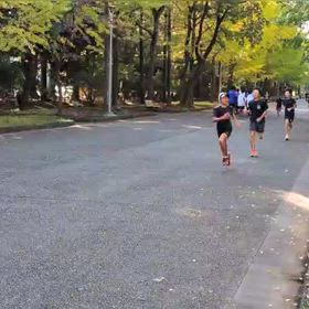 県駅伝選考会(スタート・ゴール付近)⑤の画像