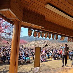 越生梅林梅まつり動画２の画像