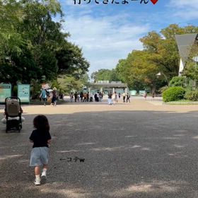 もう一昨日の話ですがねの画像