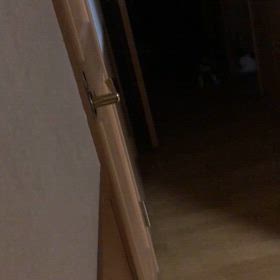 もう下取りなしで買っちゃったから… 大変だにゃ〜。ありがたい！の画像