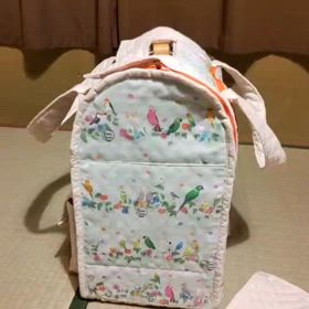 Little buddy 中型・大型インコ用　キャリーケース　LB400 LITTLE BUDDY☆大型用オリジナルアクリルキャリーLB400クリア