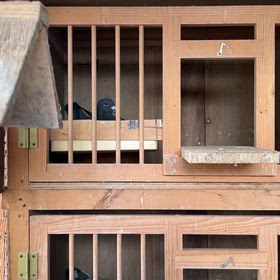 持ち寄り完了。の画像