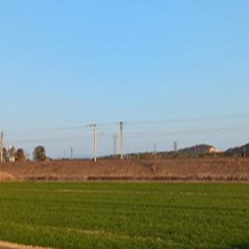 今日の鉄分補給はの画像