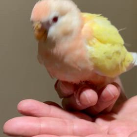 可愛い子ちゃんおります✨の画像