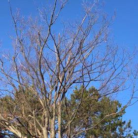 いい一日のスタートの画像