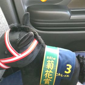 最高だわ(^^)の画像