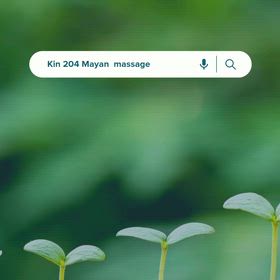 Kin204のエネルギーの画像