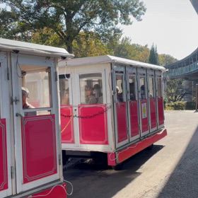 （号外）フラワートレインの画像