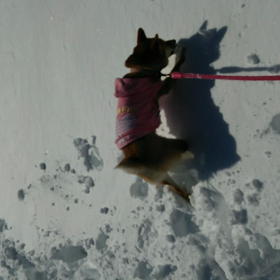 赤城山に来ています。２の画像
