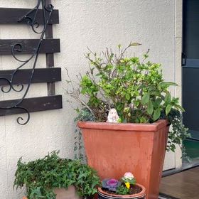 玄関のお花の入れ替えの画像