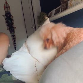 朝からブチ切れる女の画像