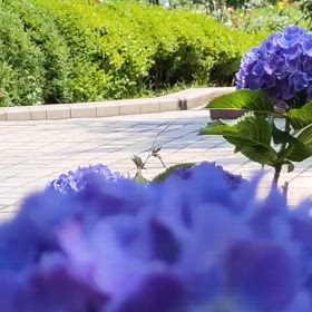 2024/05/28の画像