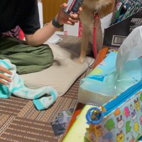 霊能者の妹の画像