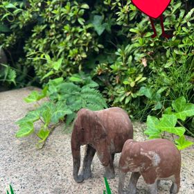 気がつきゃの画像