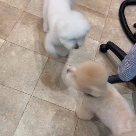 もこたんくん♡の画像