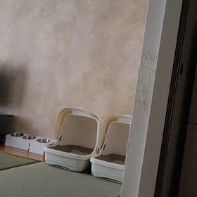 夜泣き①の画像