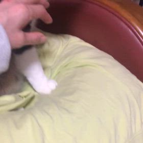 昨夜は記念日。すんなり泣ける！…今更気づいた。の画像