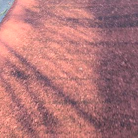 歩きました。の画像