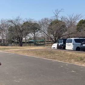 女子100mレース前アップ②の画像