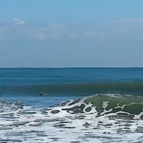 ハルさんのバラクーダ6.10”٩(^‿^)۶の画像