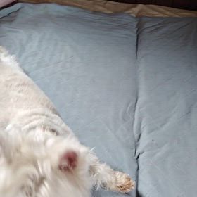 2024年8月25日普段のまゆちゃん❤︎´-の画像