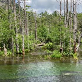 何度目の場所の画像