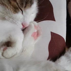 ちょっと怒ってる？の画像