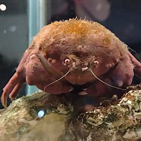 文章消えてもうたの画像