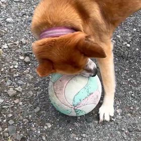 石岡八郷ベースの画像