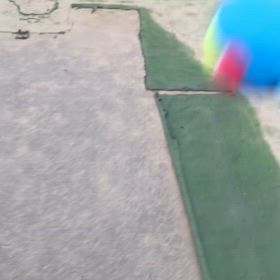 早朝  起きる生活始まりました！の画像