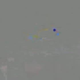 またまた超レア魚輸入！プラチナ蛍光イエローダトニオ再び！！の画像