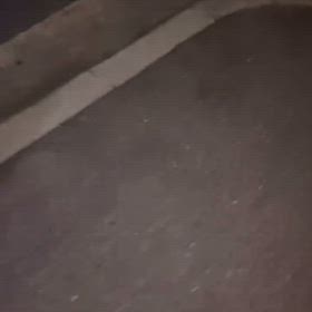 【里親募集中】お散歩じょうずになりました！モミちゃん♡の画像