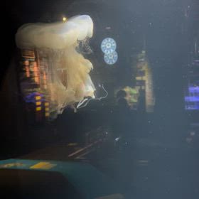 午前　午後の画像