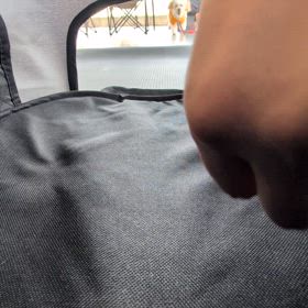 ハウストレーニングの画像