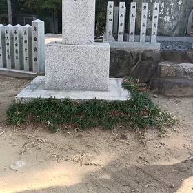 神聖な空間 °·星田妙見宮·°の画像