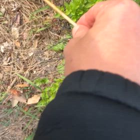 土曜。勉強または読書。の画像