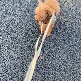 今日も元気！の画像