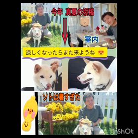 ワンちゃんと CAFE & BAKEの画像